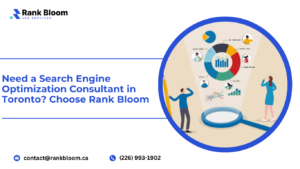 Search Engine Consultants in Toronto